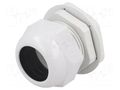 Cable gland; PG36; IP65; polyamide; grey RAYCHEM RPG RNPG-36