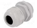 Cable gland; PG16; IP65; polyamide; grey RAYCHEM RPG RNPG-16