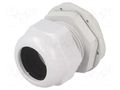 Cable gland; M40; 1.5; IP65; polyamide; grey RAYCHEM RPG RNMG40X1.5
