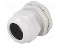 Cable gland; M40; 1.5; IP65; polyamide; grey RAYCHEM RPG RNMG40X1.5
