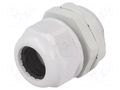Cable gland; M32; 1.5; IP65; polyamide; grey RAYCHEM RPG RNMG32X1.5