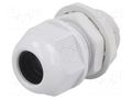 Cable gland; with long thread; M20; 1.5; IP65; polyamide; grey RAYCHEM RPG RNMG20X1.5L
