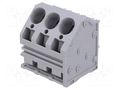 Connector: PCB terminal block; terminal; 66A; 300V; angled; tinned DEGSON ELECTRONICS DG264-10.0-03P
