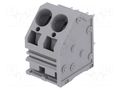 Connector: PCB terminal block; terminal; 66A; 300V; angled; tinned DEGSON ELECTRONICS DG264-10.0-02P