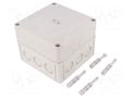Enclosure: multipurpose; X: 130mm; Y: 130mm; Z: 99mm; TK PS; grey SPELSBERG TK-PS-1313-10-M
