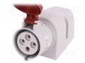 Connector: AC supply 3-phase; socket; female; 32A; 400VAC; IP44 PAWBOL PB.1037