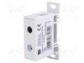 Splice terminal: rail; 125A; 600V; screw terminal; grey; 50mm2 PAWBOL PE.4117/CU