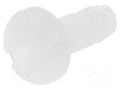 Screw; M2.5x8; Head: cheese head; slotted; plastic; natural ESSENTRA RI-NSE-1580-M2.5-8
