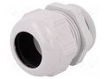 Cable gland; PG42; IP68; polyamide; light grey; SKINTOP® LAPP ST-PG-42-RAL-7035