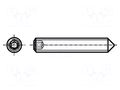 Screw; M2.5x4; 0.45; Head: without head; hex key; HEX 1.3mm BOSSARD B2.5X4/BN33032