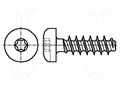 Screw; for plastic; 5x25; Head: cheese head; Torx® PLUS; 25IP; zinc BOSSARD B5X25/BN20173