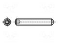 Screw; M8x10; 1.25; Head: without head; hex key; HEX 4mm; steel BOSSARD B8X10/BN1427