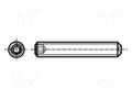 Screw; M5x12; 0.8; Head: without head; hex key; HEX 2.5mm; steel BOSSARD B5X12/BN30