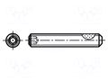 Screw; withTuflok patch; M3x6; 0.5; Head: without head; hex key BOSSARD B3X6/BN5210