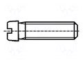 Screw; M2x2; 0.4; Head: cheese head; slotted; 0.5mm; steel; zinc BOSSARD B2X2/BN404