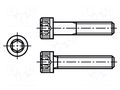 Screw; 1/4"x7/8"; 20; Head: knurled,cheese head; hex key; steel BOSSARD B1/4X7/8/BN13