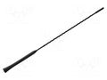 Antenna mast; 0.406m; M5/M6; Dacia,Renault; black PER.PIC. A00119