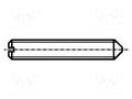 Screw; M2.5x6; 0.45; Head: without head; slotted; 0.4mm; DIN 553 BOSSARD B2.5X6/BN665