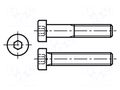 Screw; M6x30; 1; Head: cheese head; hex key; HEX 4mm; steel BOSSARD B6X30/BN16