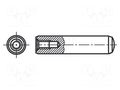 Cylindrical stud; steel; BN 1970; Ø: 6mm; L: 60mm; DIN 7979 BOSSARD B6X60/BN1970