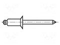 Rivet; aluminium; Rivet diam: 3.2mm; L.rivet: 11mm; BN 925 BOSSARD B.TAPK48BSBN925