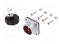 Connector: circular; socket; male; PIN: 2; IP67; WF20; 25A; 500V; 4mm2 WEIPU WF20J2ZZ1