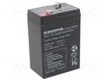 Re-battery: acid-lead; 6V; 4.5Ah; AGM; maintenance-free; EP EUROPOWER ACCU-EP4.5-6/EUR