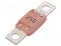 Fuse: fuse; 250A; 32VDC; automotive MTA MEGACOMPACT-250A