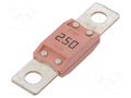 Fuse: fuse; 250A; 32VDC; automotive MTA MEGACOMPACT-250A