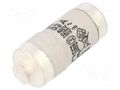 Fuse: fuse; 63A; 400VAC; 250VDC; gG; ceramic; D02; D0 ETI POLAM 002212005