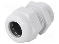 Cable gland; PG21; IP68; polyamide; light grey; V-TEC PG OBO BETTERMANN OBO-2024764