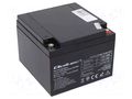 Re-battery: acid-lead; 12V; 24Ah; AGM; maintenance-free QOLTEC ACCU-HP24-12/Q