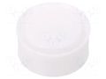 Plunger; for syringes; silicone free; polyetylene Techcon TCH-EA110WP-LD-NT