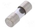 Fuse: fuse; 1A; 250VAC; time-lag; cylindrical,glass; 5x15mm ESKA ZKTM-1.0A
