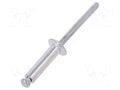 Rivet; aluminium; Rivet diam: 4.8mm; L.rivet: 19mm; 50pcs. VOREL VOREL-70510