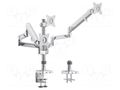 Holder; 7kg; 17÷27"; Arm len: 748mm; Standard: 75x75mm,100x100mm LOGILINK BP0090