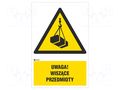 Safety sign; warning; PVC; W: 200mm; H: 300mm ANRO IW/015/1/C1/P