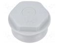 Stopper; M40; 1.5; IP54; polyetylene; grey; WN; Thread: metric HUMMEL HUMMEL-1282400050