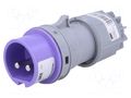 Connector: AC supply; plug; male; 16A; 24VAC; IEC 60309; IP44; PIN: 2 PCE 062V