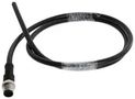 SENSOR CORD, M12 PLUG-FREE END, 3.3FT M12A-17BMMM-SL8D01.
