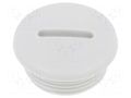 Stopper; M25; 1.5; IP54; polyamide; grey; V-N-FS; Thread: metric HUMMEL HUMMEL-1251250050