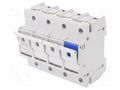 Fuse disconnector; D02; for DIN rail mounting; 63A; 400VAC ETI POLAM 002271005