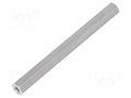 Screwed spacer sleeve; 55mm; Int.thread: M2,5; hexagonal DREMEC TFF-M2.5X55/DR132