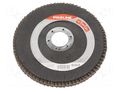 Flap grinding wheels; Ø: 125mm; Øhole: 22.2mm; Granularity: 60 PROLINE PRE-44812