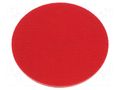 Backing pad; Ø: 125mm; Holder: plunger; M14; 8mm PROLINE PRE-27037