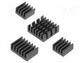 Heatsink; black; Raspberry Pi 4 B; aluminium; 4pcs. DFROBOT DF-FIT0651