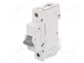 Circuit breaker; 230/400VAC; Inom: 32A; Poles: 1; Charact: B; 10kA ETI POLAM 273200107