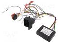 Adapter; Audi; ISO PER.PIC. C125000ACP2