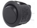 ROCKER; DPST; Pos: 2; ON-OFF; 10A/250VAC; none; R13-244-AC; 50mΩ SCI R13244A02B