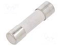 Fuse: fuse; 10A; 250VAC; time-lag; ceramic,cylindrical; 5x20mm ESKA 522627